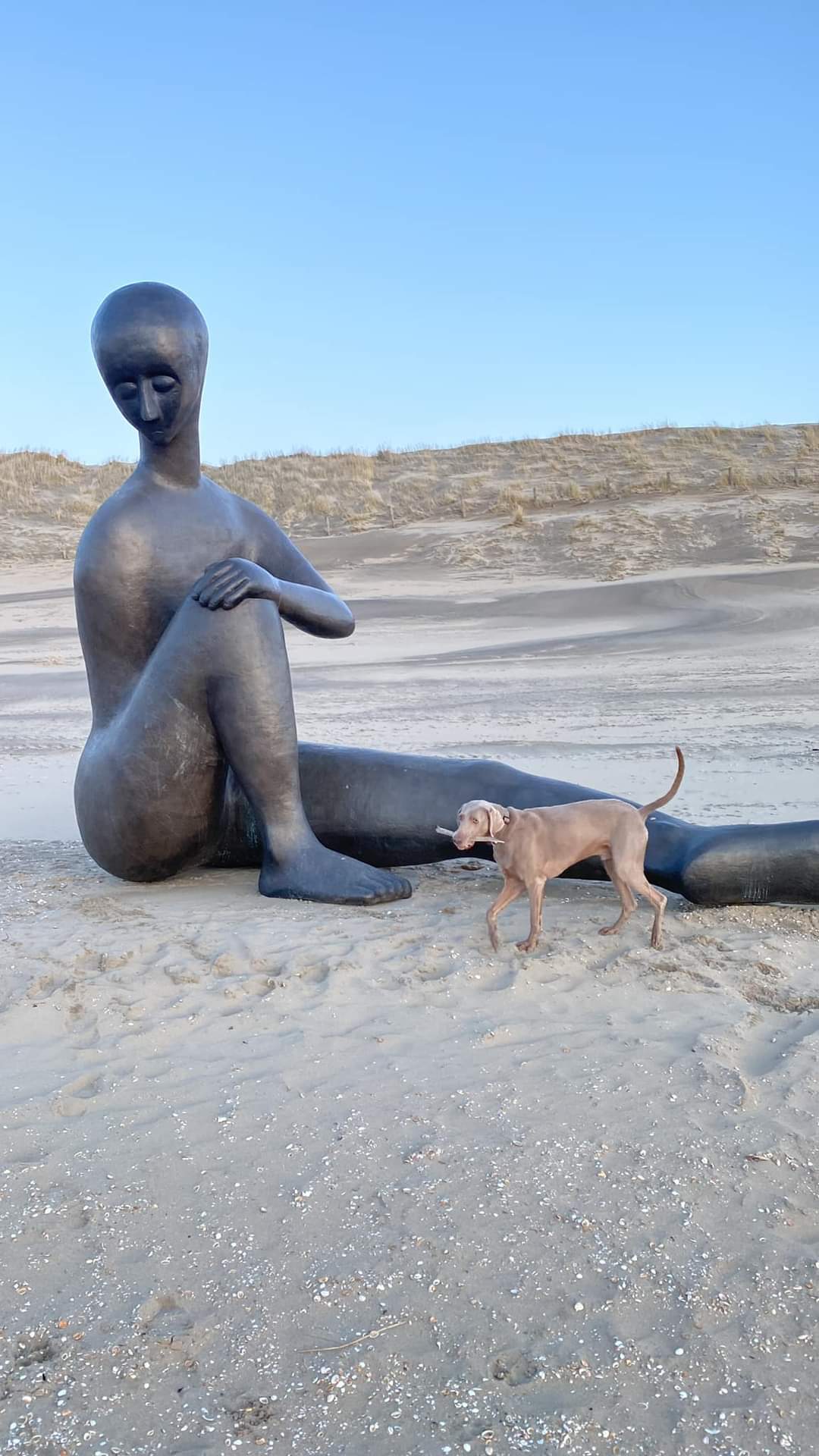 Mirjam-Flik-Biennale_Noordwijk