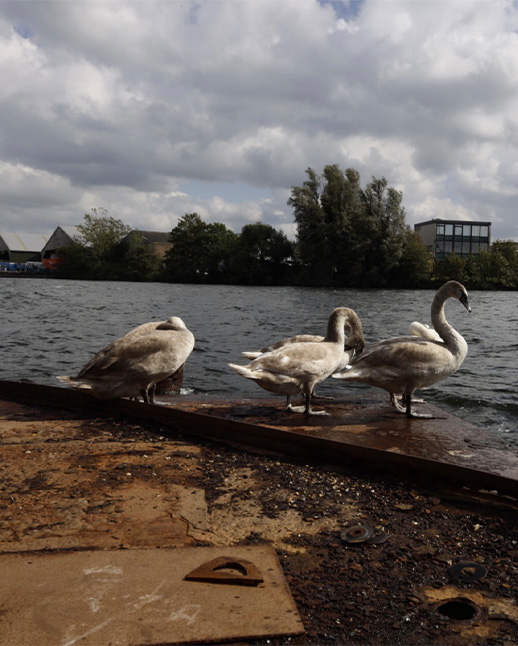mirjam-flik-quatemala-reizen