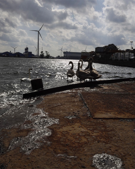 mirjam-flik-san-cristobal