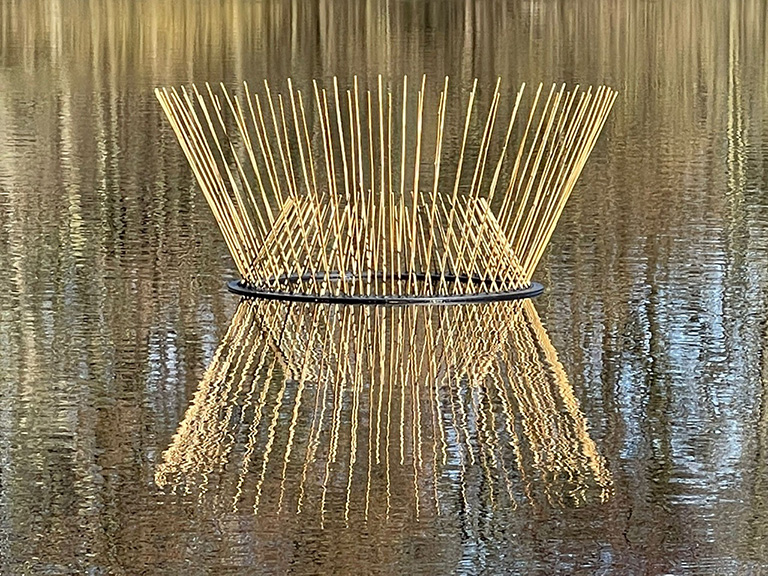 mirjam flik 2026 project